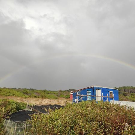 巴拉德瓦利扎斯 Mirando El Mar旅舍 外观 照片